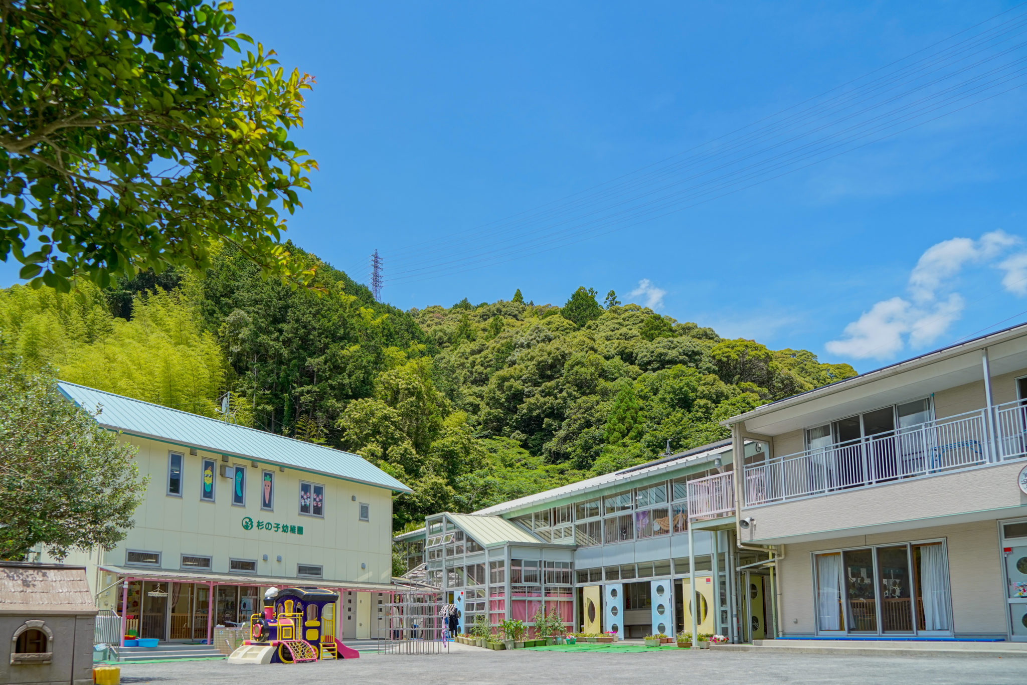 杉 の 子 幼稚園 横浜