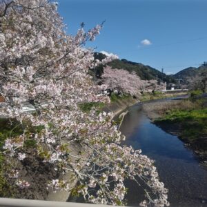 令和８年度　入園式